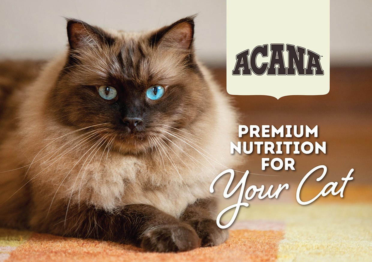 Brochure - Acana Cat (pack of 20)