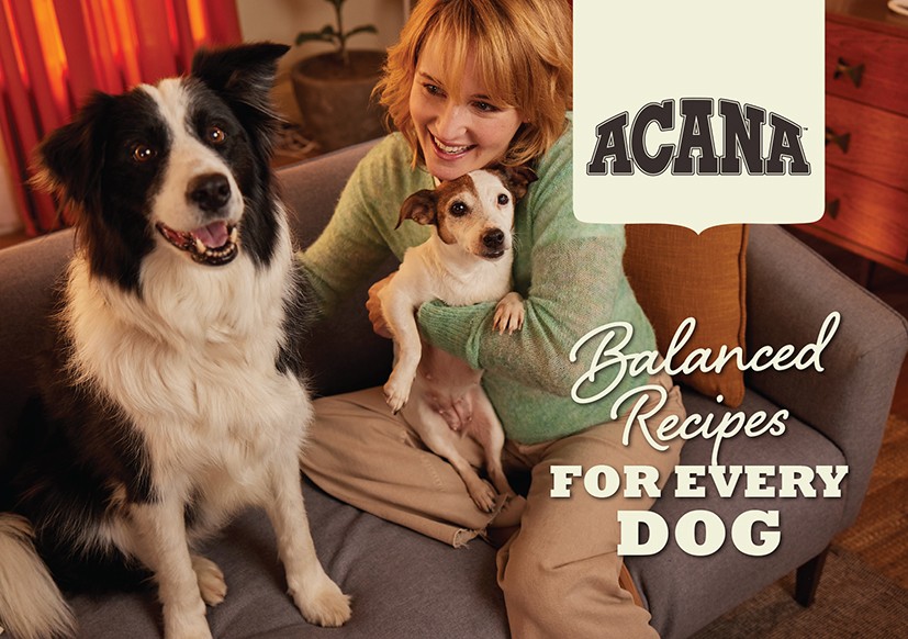 Brochure - Acana Dog (pack of 20)