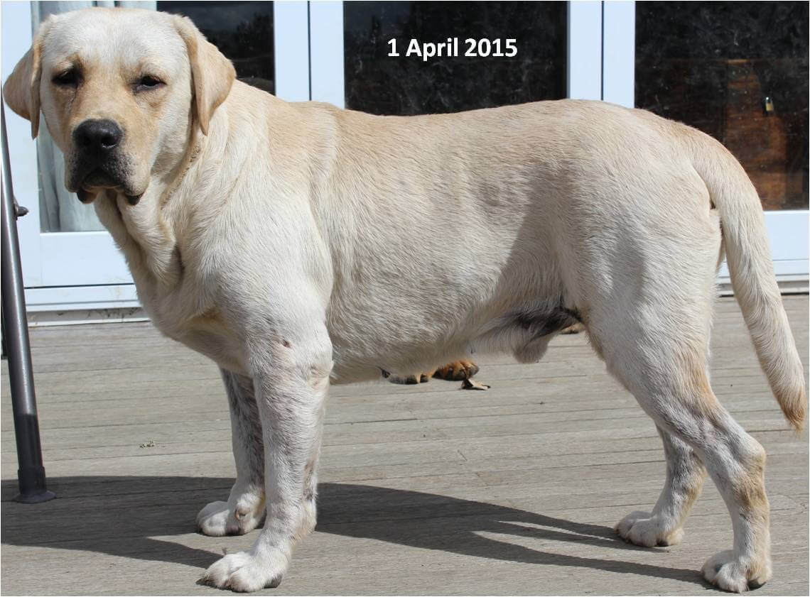 Elizabeth Mallory, Hawkes Bay