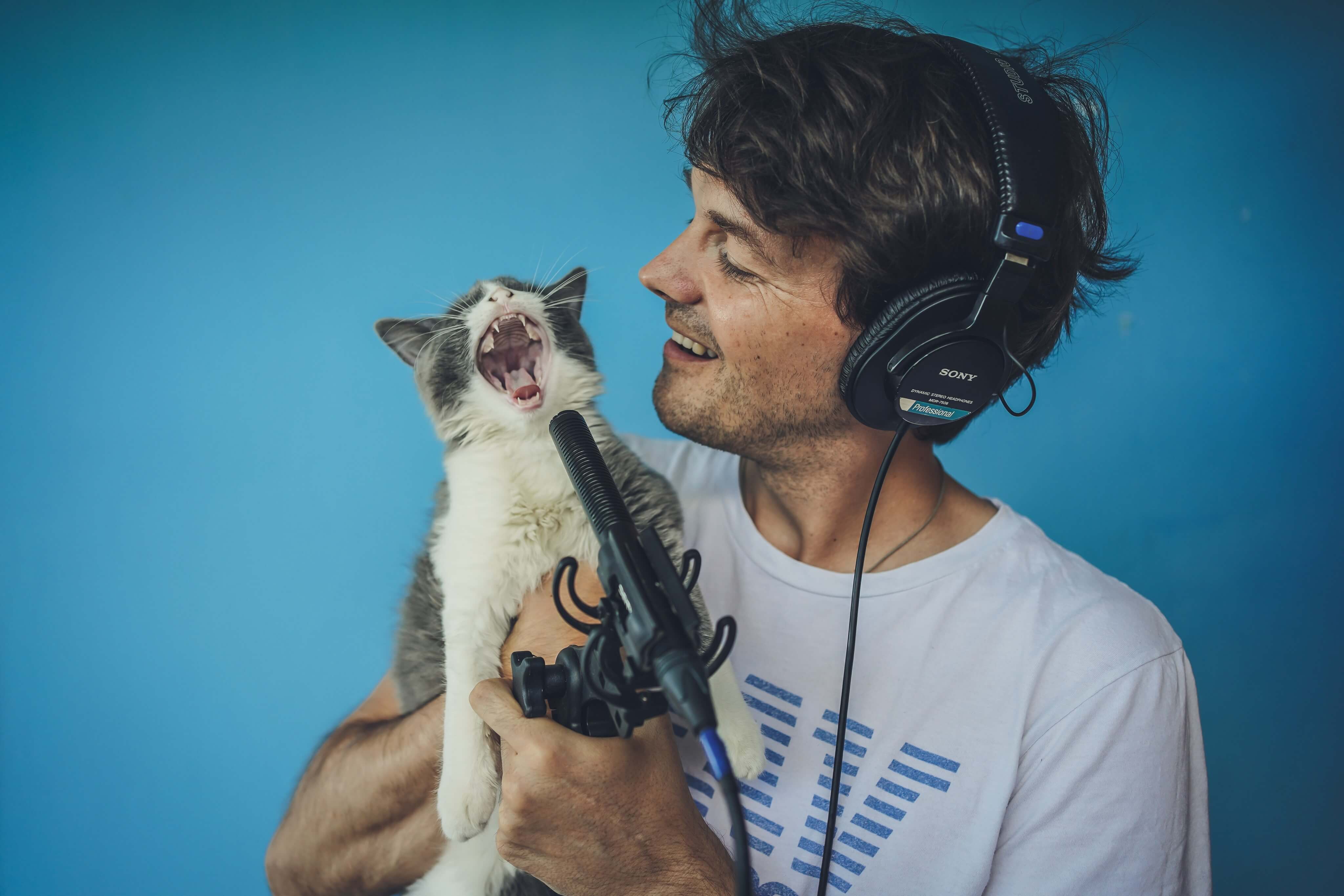 FELINE THE BEAT: DO CATS LIKE MUSIC?