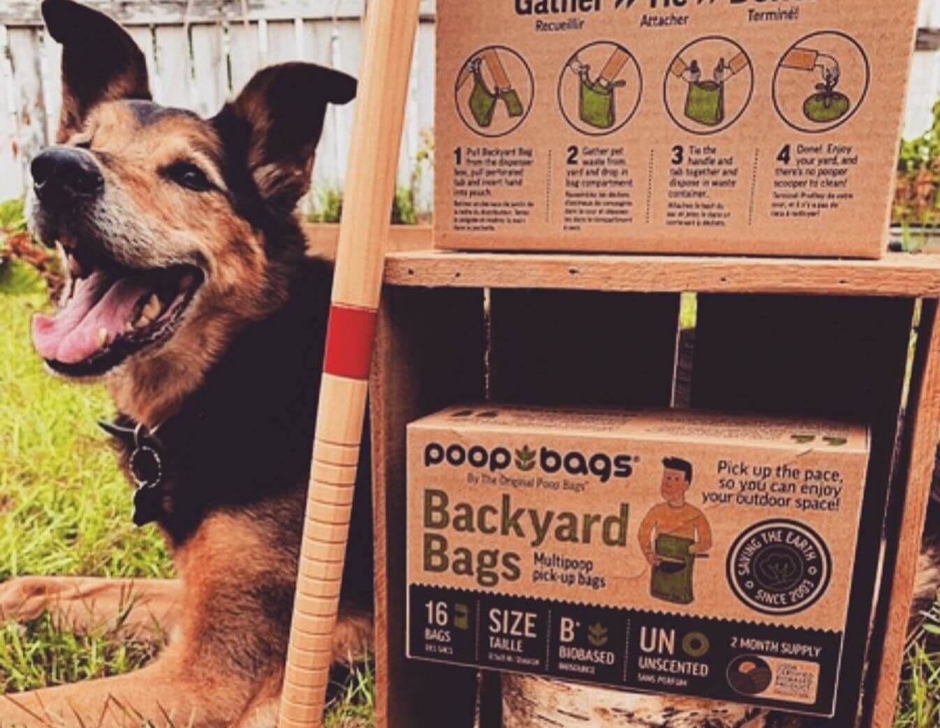 Biodegradable Poop Bags vs Compostable Poop Bags - What's the Difference?