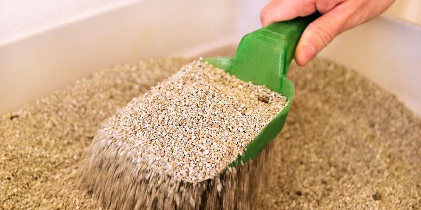 Is Your Cat Litter Naturally Safe?