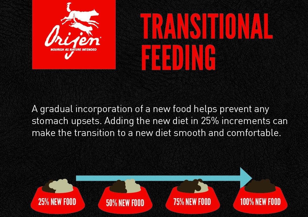 Transitional Feeding