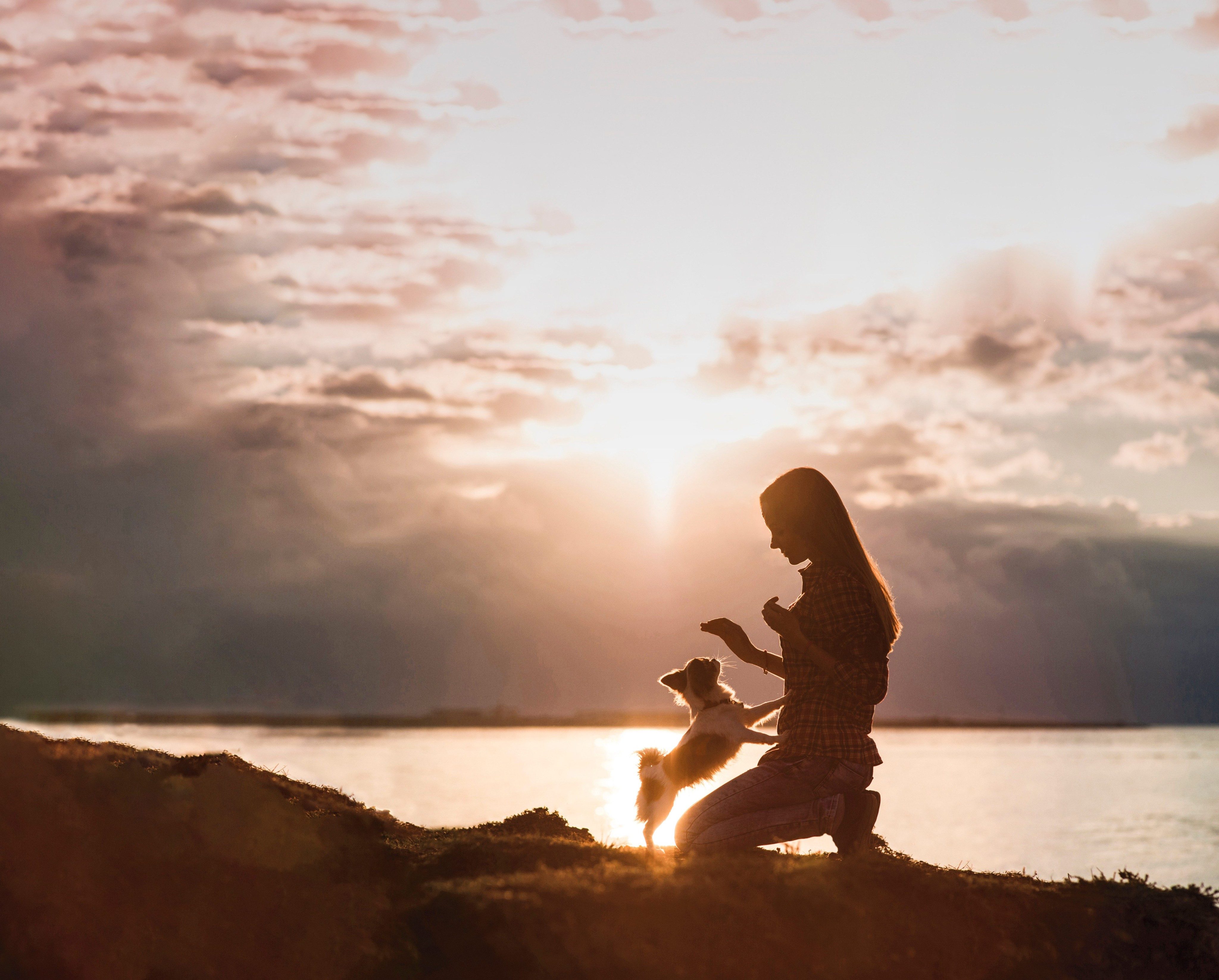 NUTRITION GUIDE FOR SMALL BREED DOGS & PUPPIES