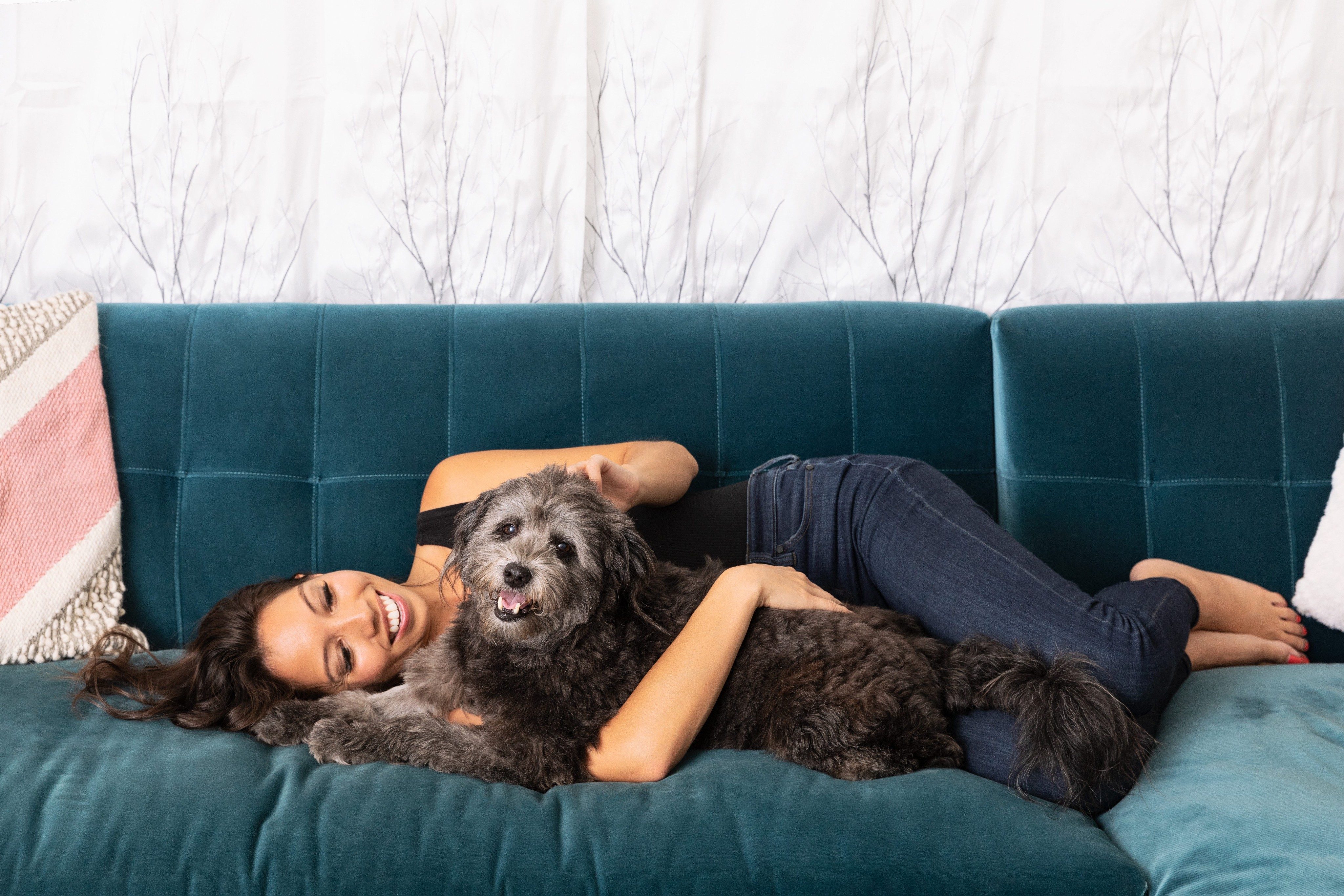 Isolating at home? 5 at-home activities for you and your pet!