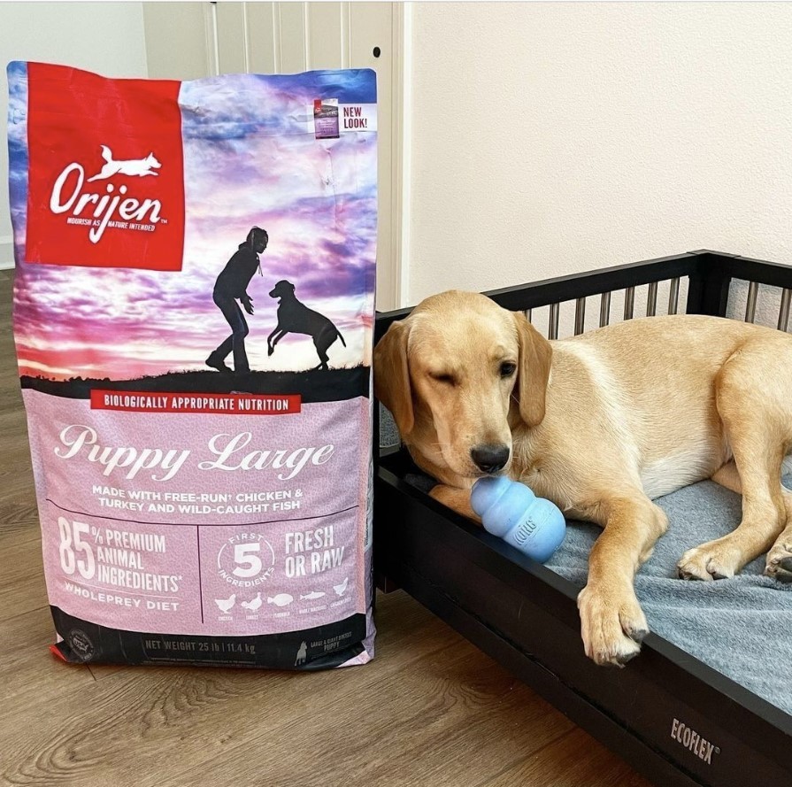 Do You Know What's In Your Pet's Food?