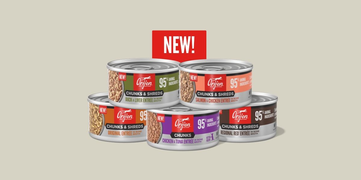 Why ORIJEN Chunks & Shreds Focuses on What Cats Need